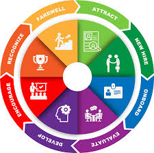 Employee life cycle